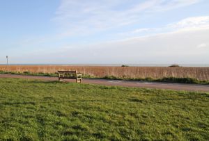 Photo 23- click for photo gallery